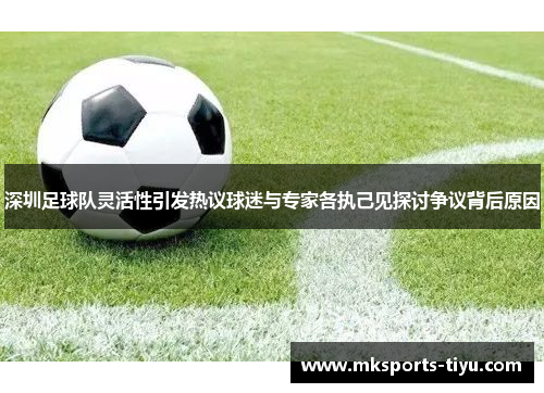 深圳足球队灵活性引发热议球迷与专家各执己见探讨争议背后原因